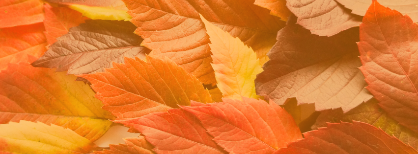 Hintergrundbild
